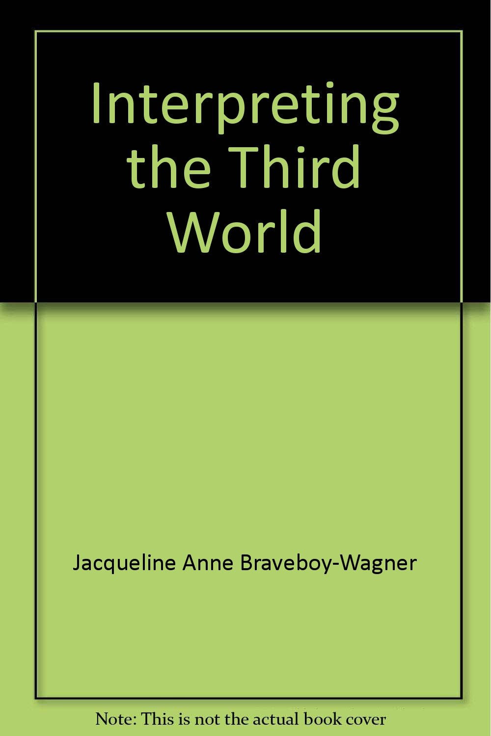 Interpreting the Third World: Politics, economics, and social issues