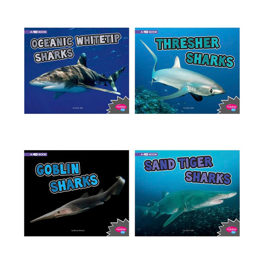 All about Sharks