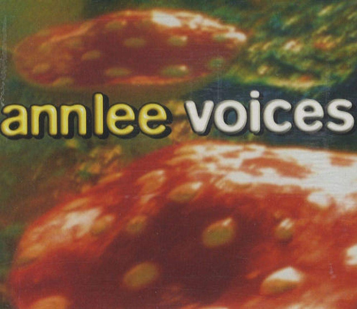 Voices