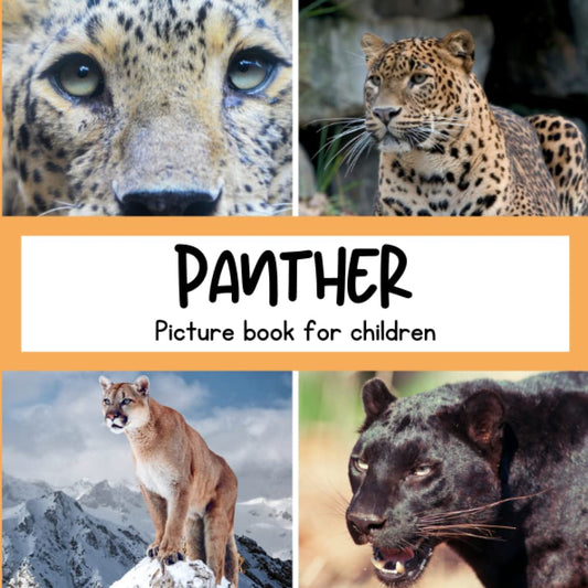 Picture book for children -Panther: Discovering Panthers in pictures - Children 2 to 5 years old