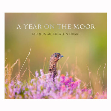 A Year on the Moor
