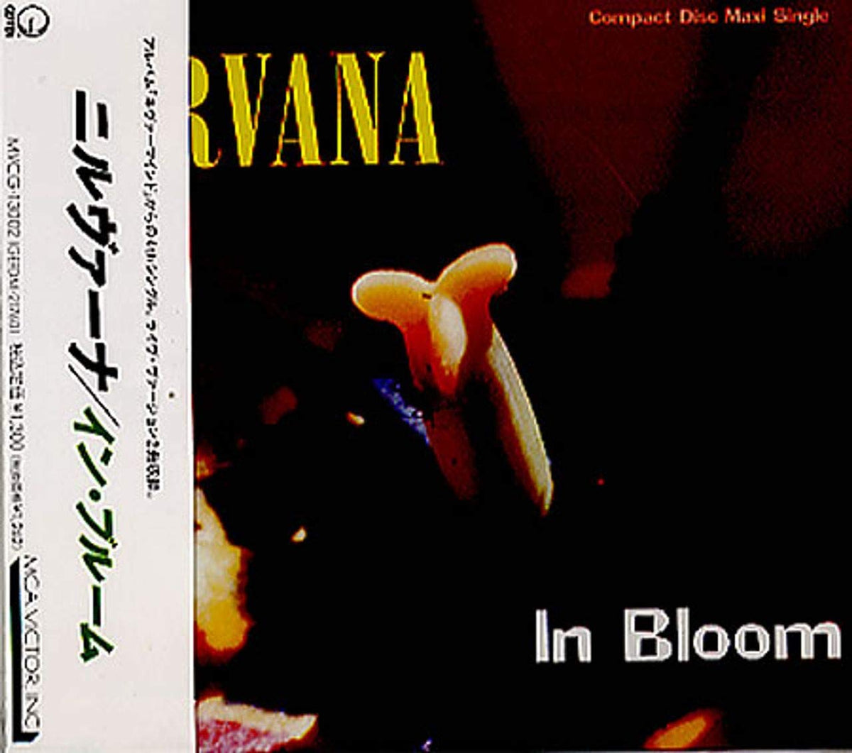 In Bloom