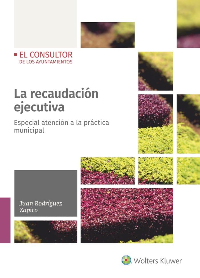 La recaudación ejecutiva: Especial atención al procedimiento de apremio en el ámbito municipal