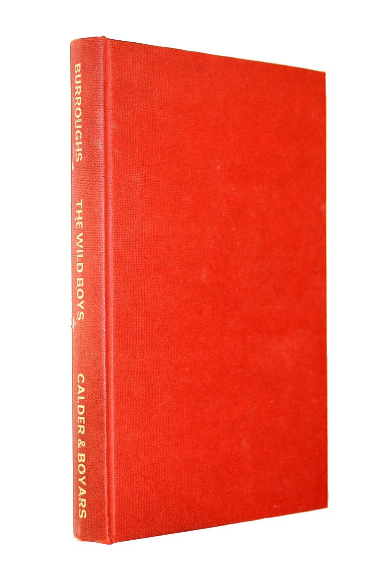 The Wild Boys: A Book of the Dead