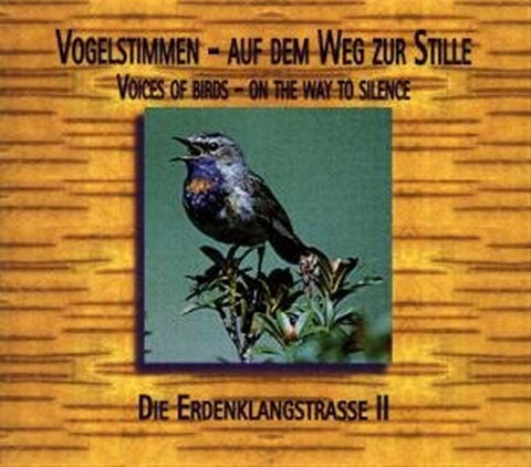 Musik Auf Dem Weg Zur Sti