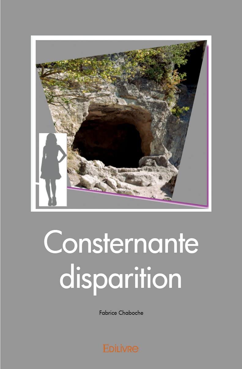 Consternante disparition (French Edition)