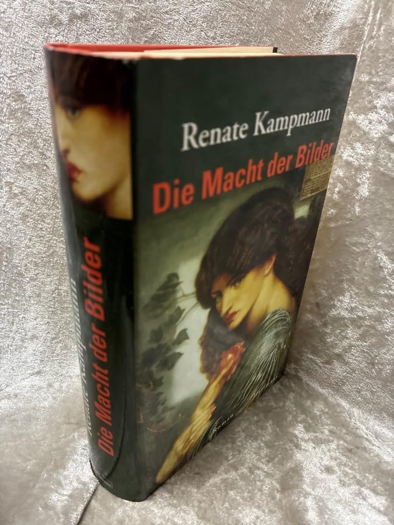 Die Macht der Bilder. Roman