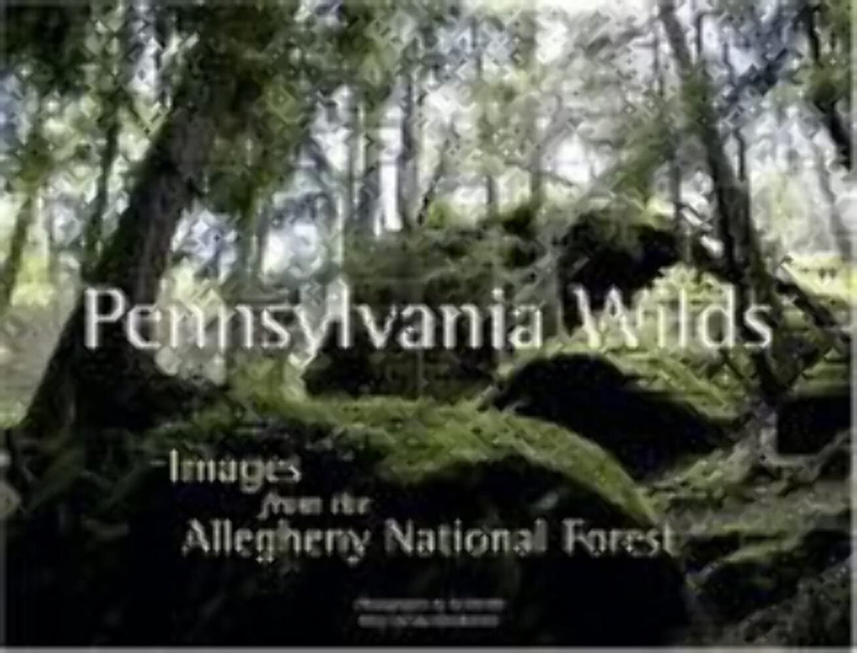 Pennsylvania Wilds: Images from the Allegheny National Forest