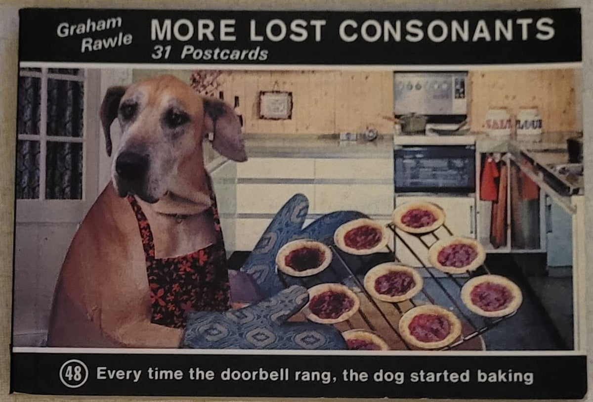 More Lost Consonants (A "Guardian" Book)