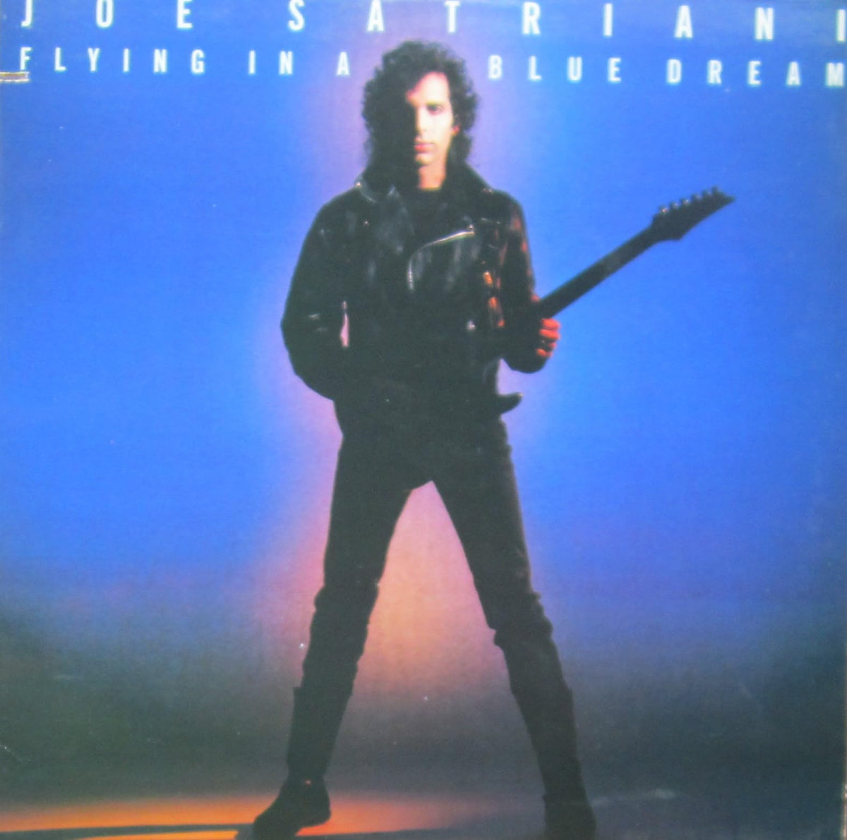 Flying in a Blue Dream [Vinyl]
