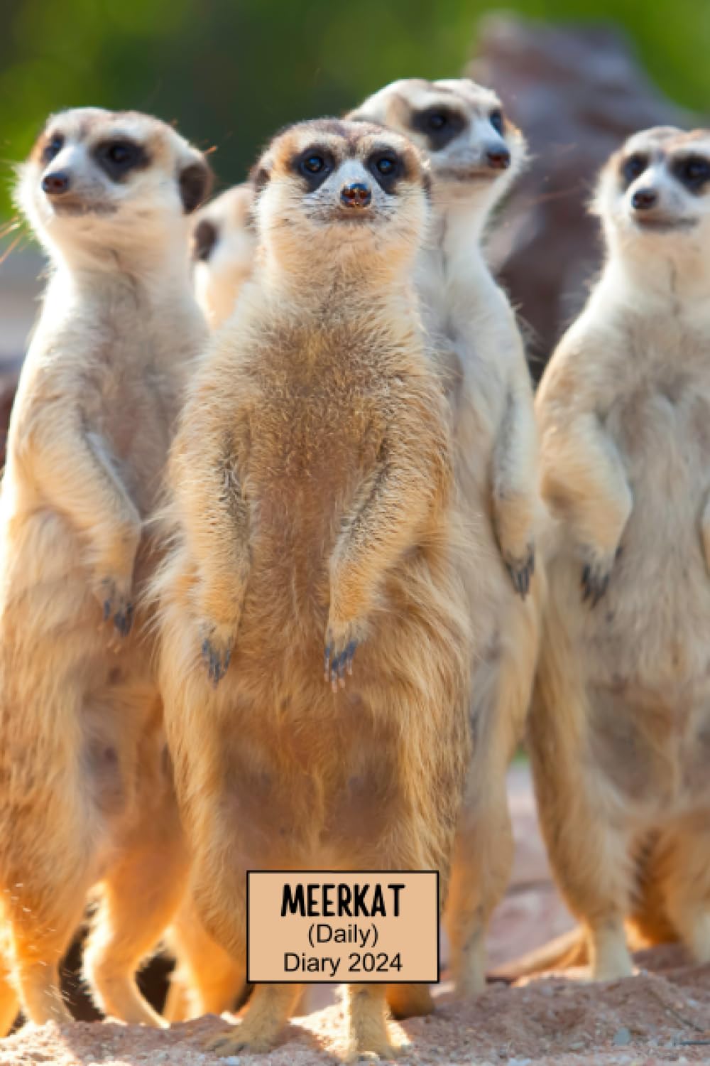 Meerkat Daily Diary 2024: A complete one year diary. Ideally sized (6x9in) and in a large print format. All 366 (leap ye