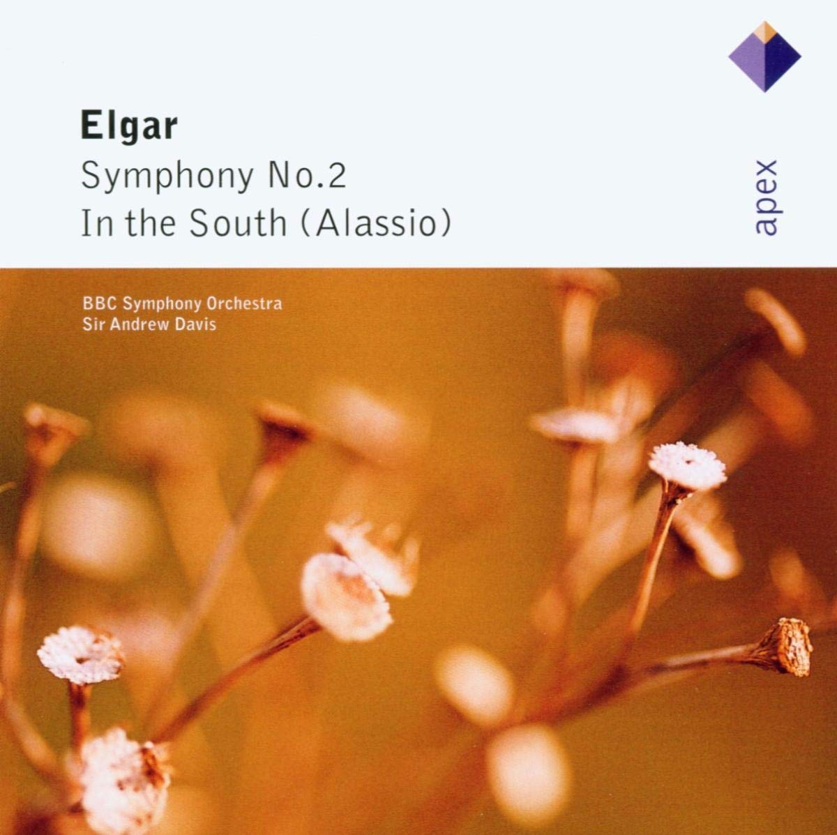 Elgar: Sym No 2 / In the South