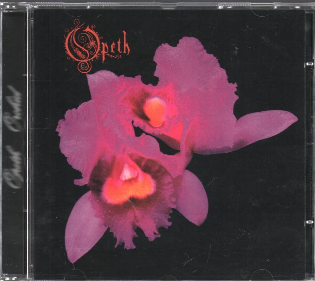 Orchid