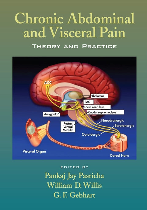 Chronic Abdominal and Visceral Pain: Theory and Practice