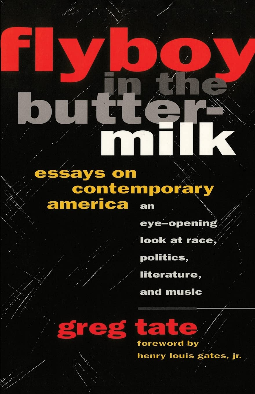 FLYBOY IN THE BUTTERMILK: ESSAYS ON CONTEMPORARY AMERICA