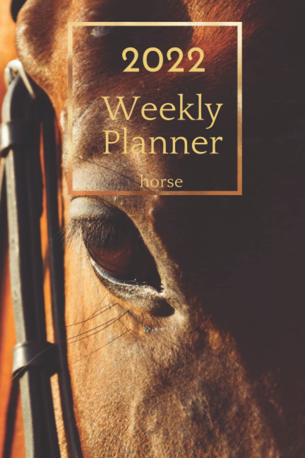 weekly planner 2022 horse: Horse Lovers 2022 Planner: Large, Daily, Weekly and Monthly Planner January to December