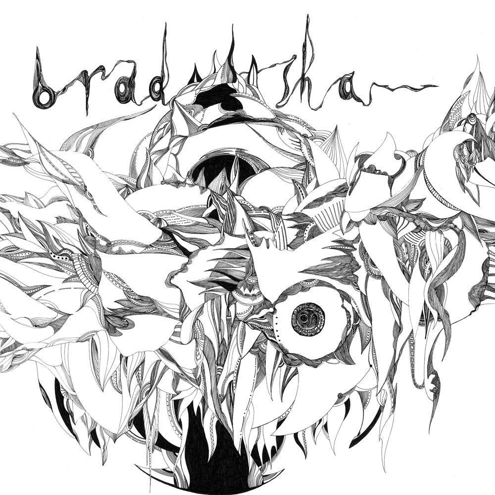bradshaw