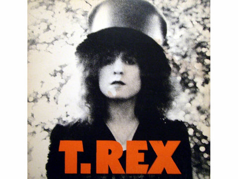 The Slider [Vinyl LP]