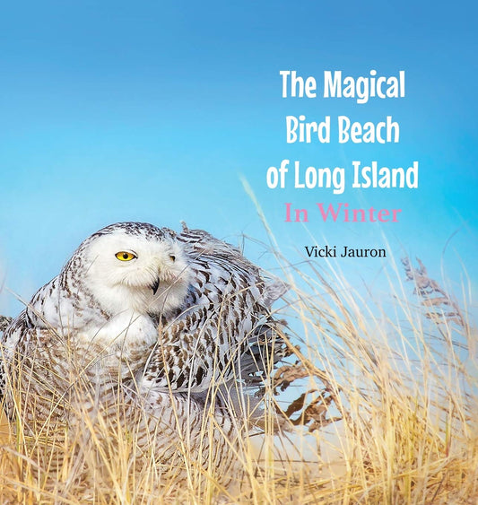 The Magical Bird Beach of Long Island in Winter: A Children's Rhyming Picture Book About the Snowy Owl and Other Winter 