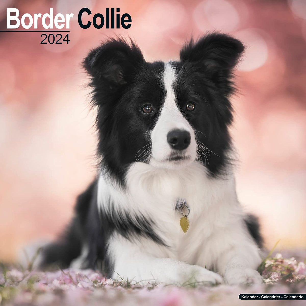 Border Collie Calendar - Border Collies Calendar - Dog Breed Calendars - 2023 - 2024 wall calendars - 16 Month by Avonsi