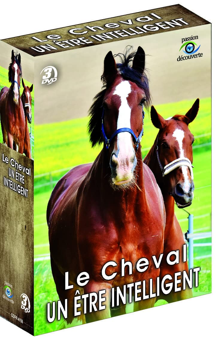 LE CHEVAL - UN ÊTRE INTELLIGENT
