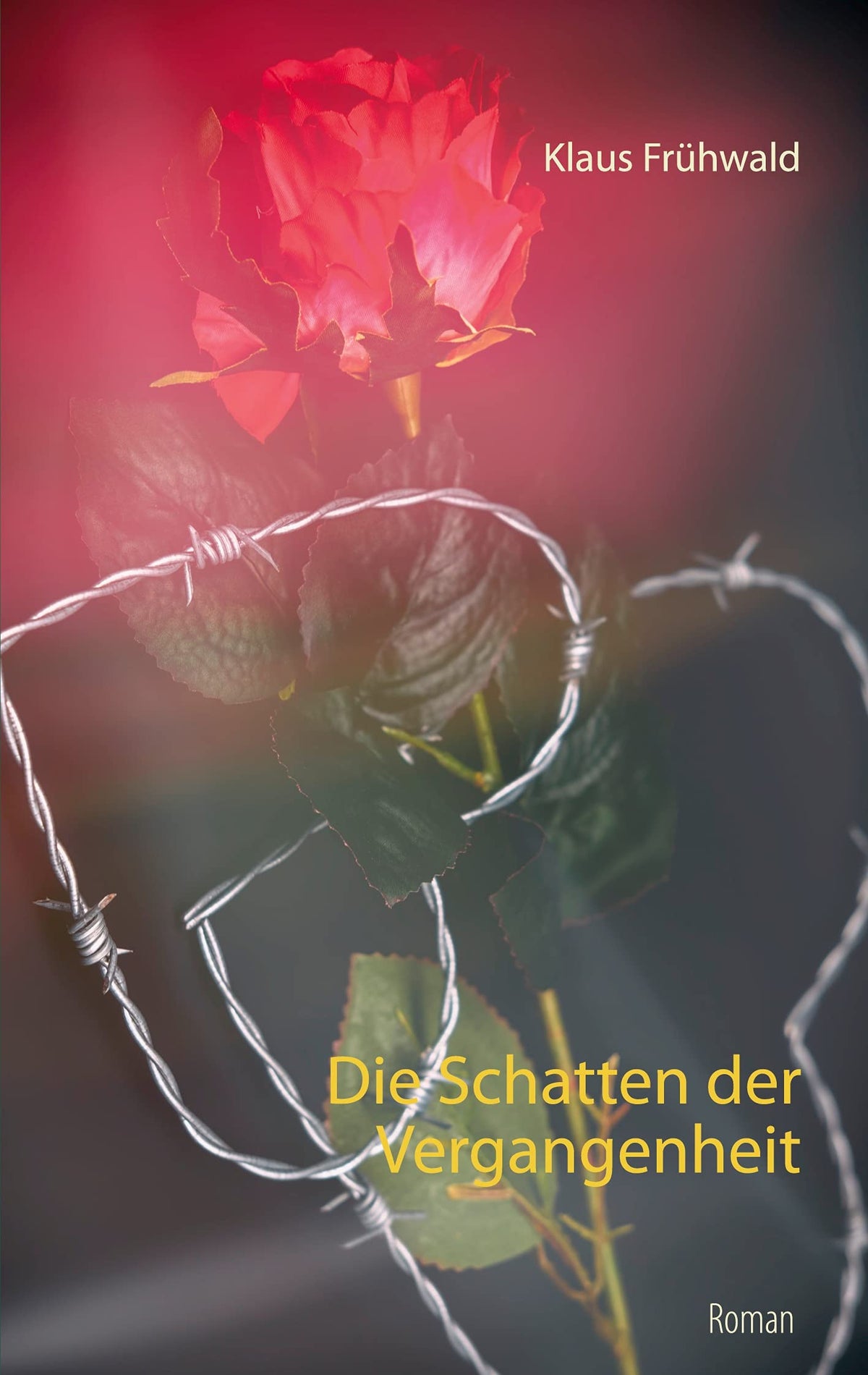 Die Schatten der Vergangenheit (German Edition)