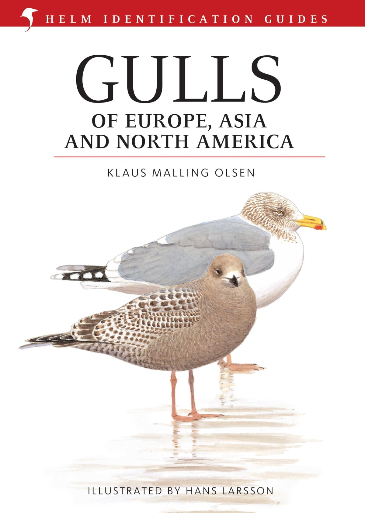 Gulls of Europe@@ Asia and North America (Helm Identification Guides)