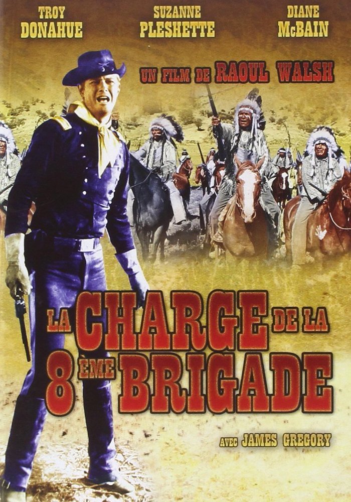 La charge de la 8ème brigade [FR Import]