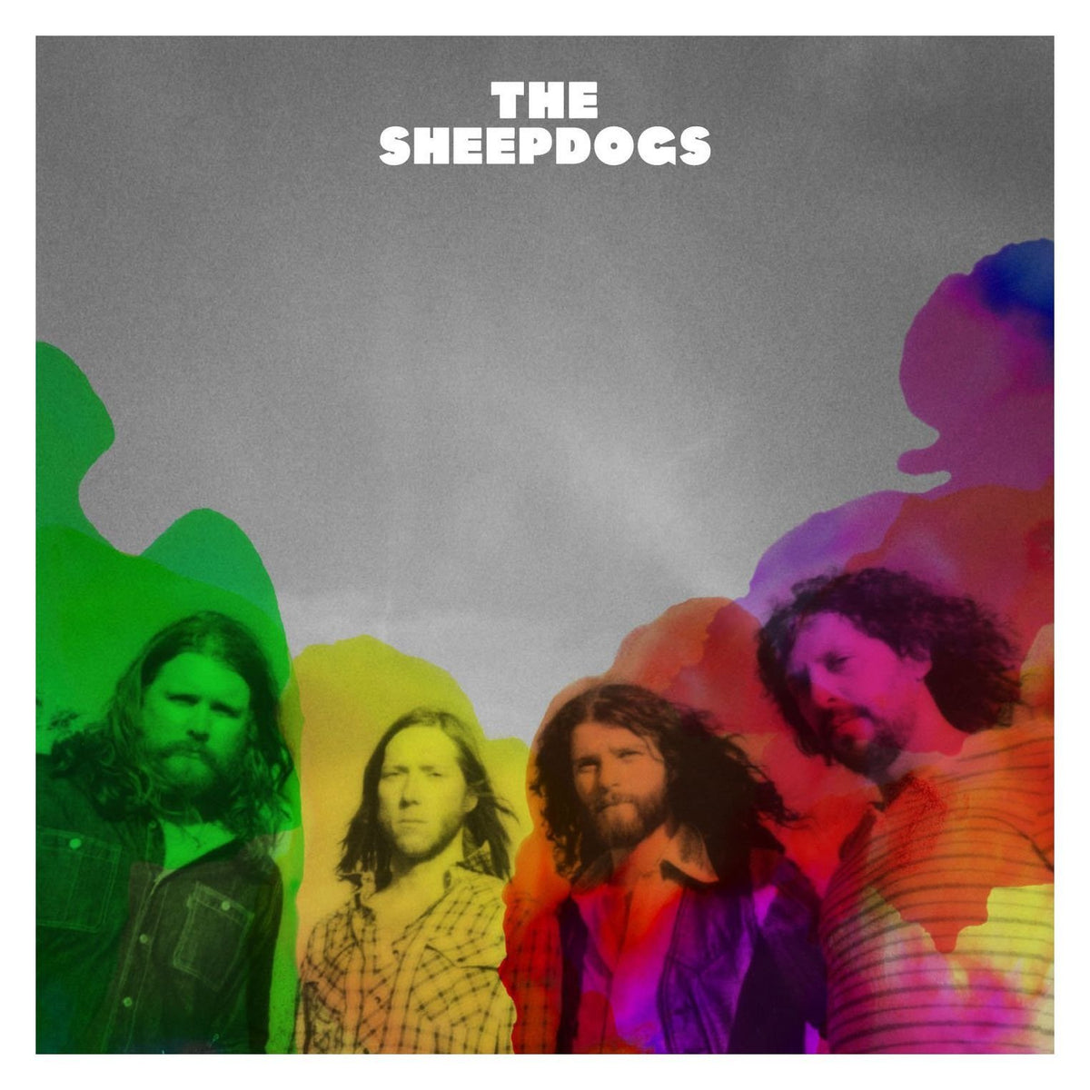 Sheepdogs