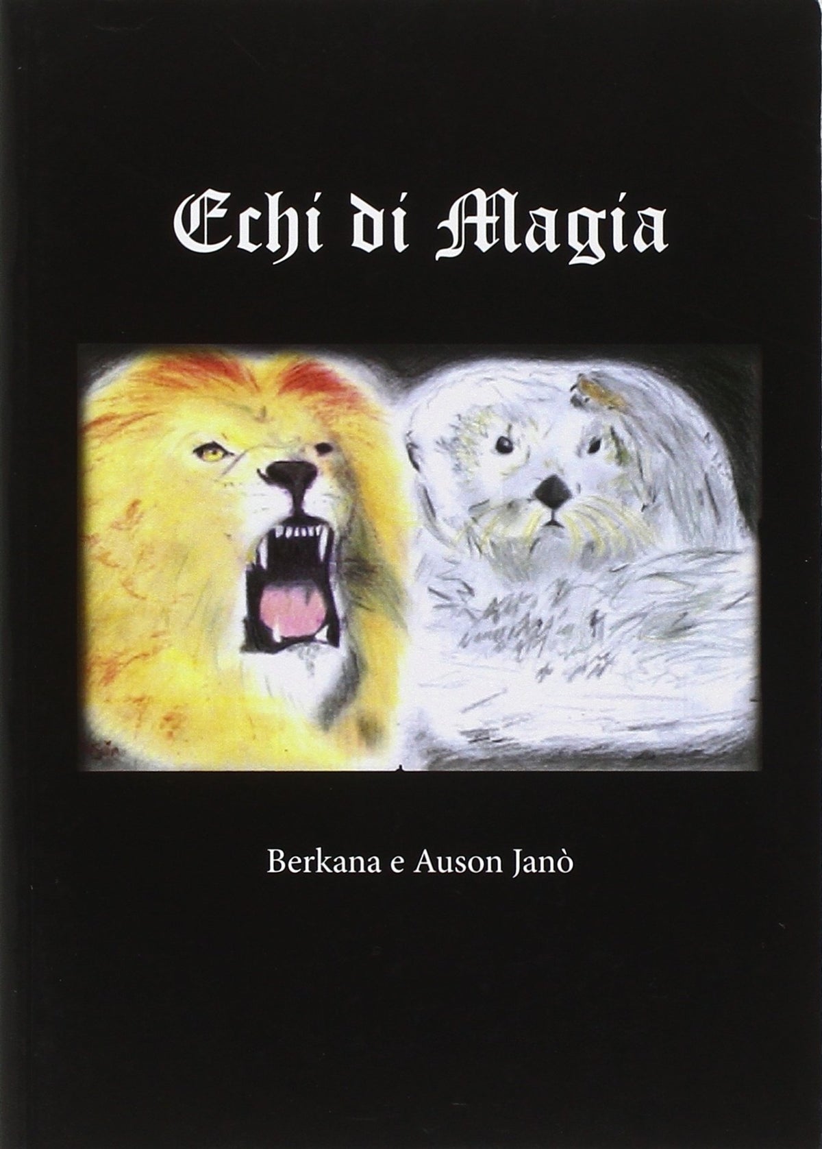 Echi di magia