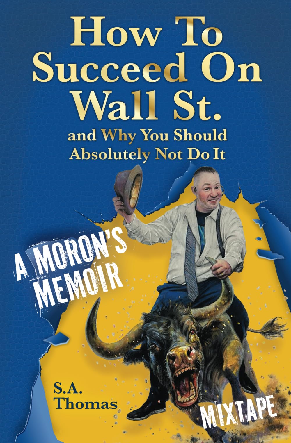 How to Succeed on Wall St. and Why You Should Absolutely Not Do It: A Moron's Memoir