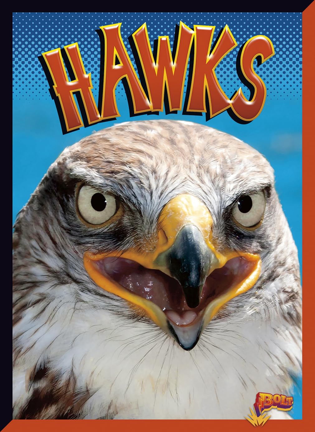 Hawks (Birds of Prey)