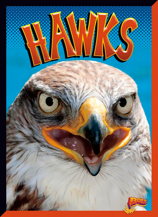 Hawks (Birds of Prey)