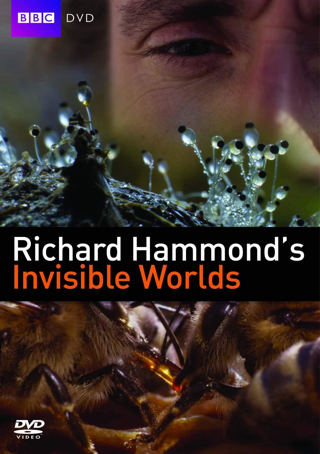 Richard Hammond's Invisible Worlds [DVD]