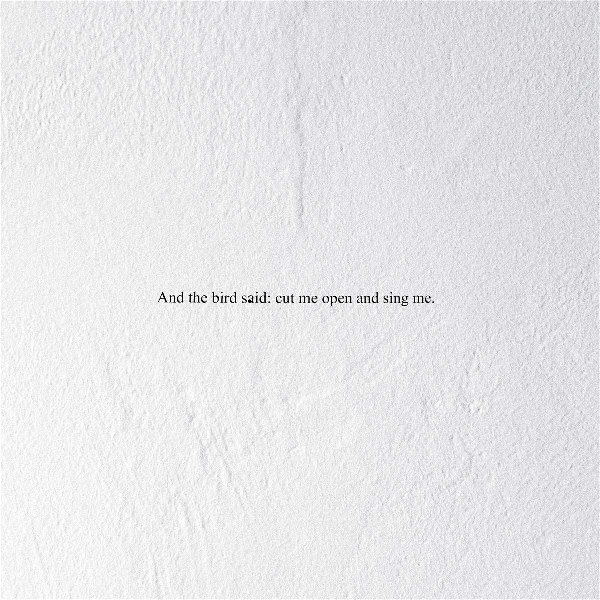 And the Bird Said: Cut Me Open and Sing Me [Analog]