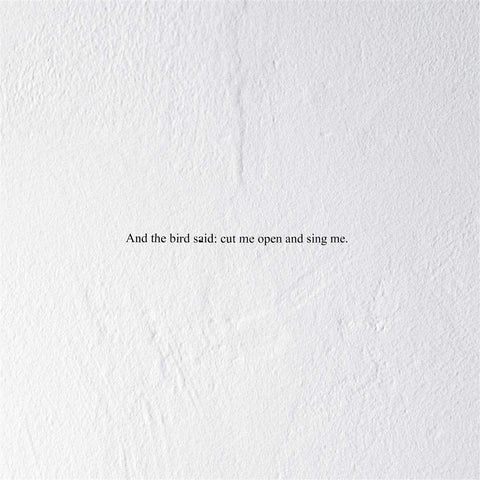And the Bird Said: Cut Me Open and Sing Me [Analog]