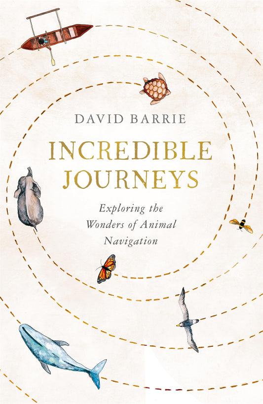Incredible Journeys: Exploring the Wonders of Animal Navigation