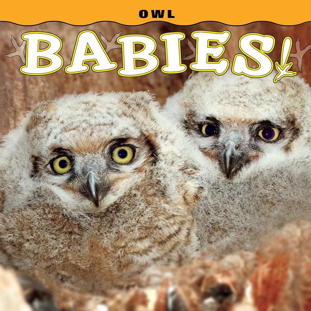 Owl Babies! (Babies! & Cuties!)