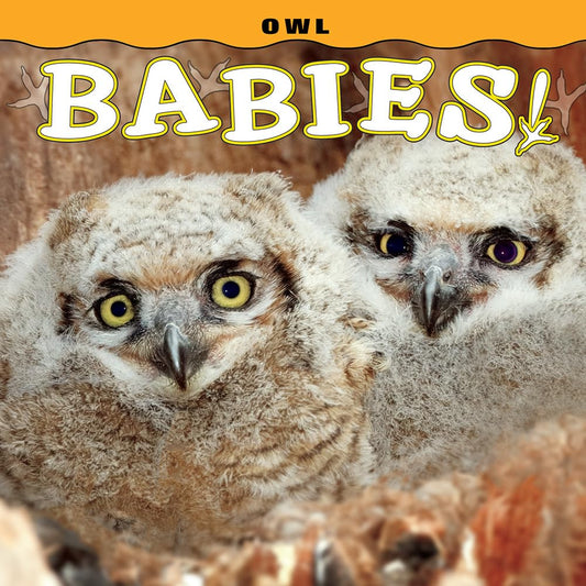 Owl Babies! (Babies! & Cuties!)
