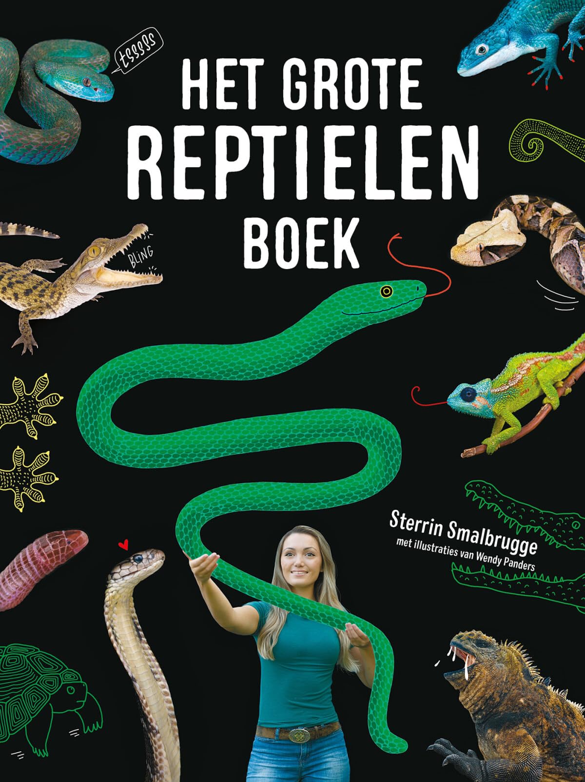 Het grote reptielenboek (Dutch Edition)