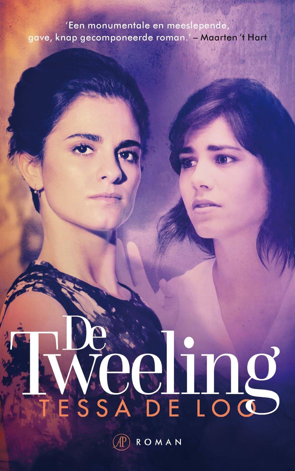De tweeling: roman (Dutch Edition)