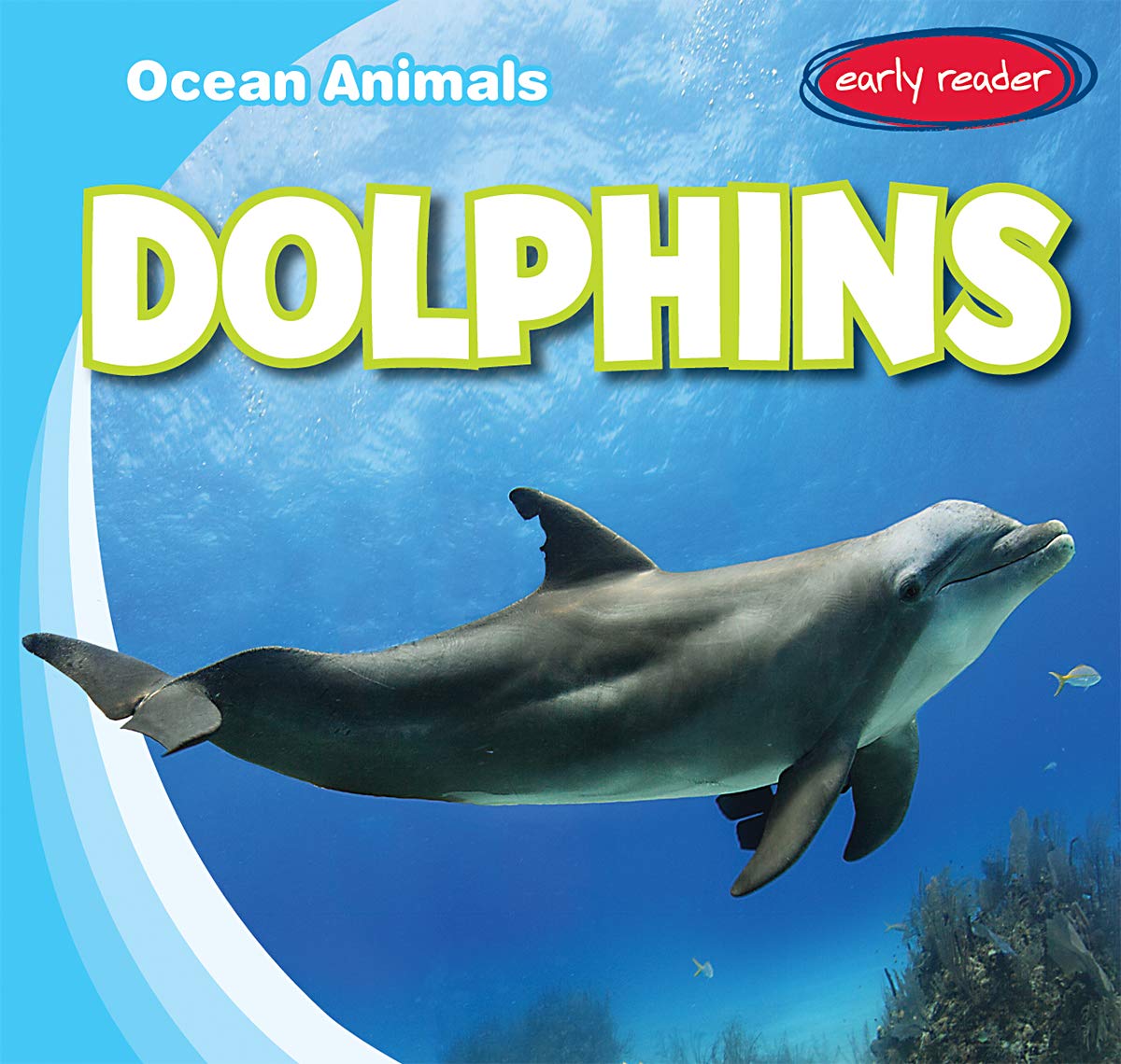 Dolphins (Ocean Animals)