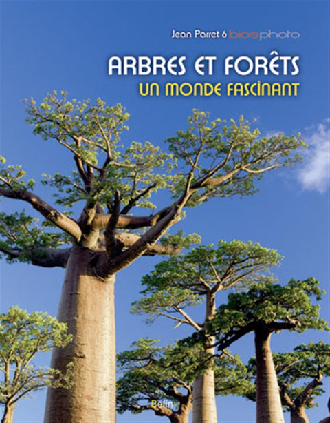 Arbres et forêts: Un monde fascinant