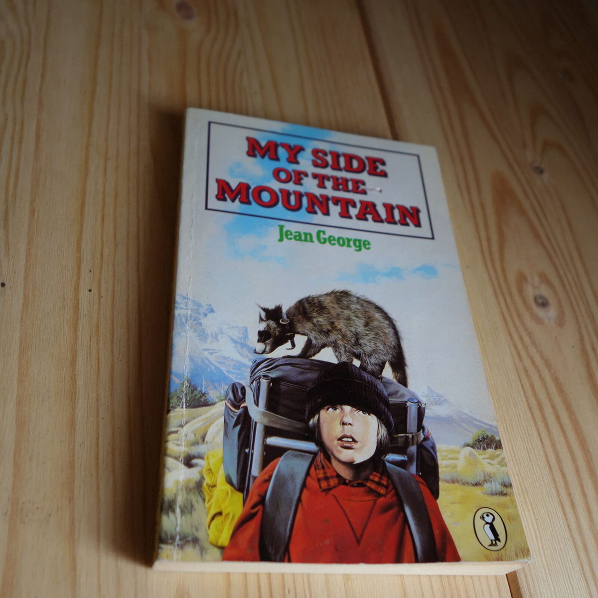 My Side Of The Mountain