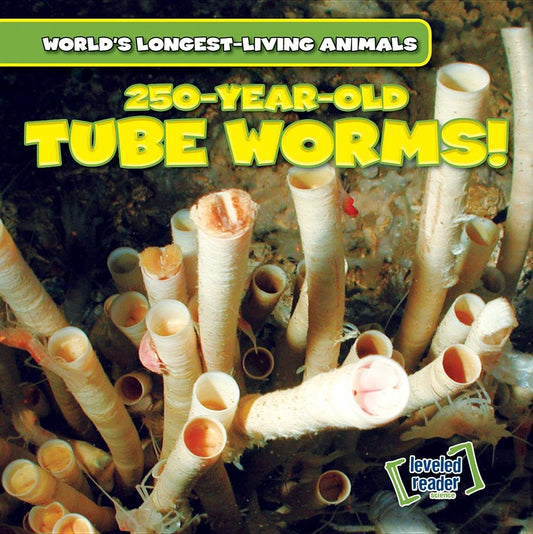 250-Year-Old Tube Worms! (World's Longest-Living Animals)