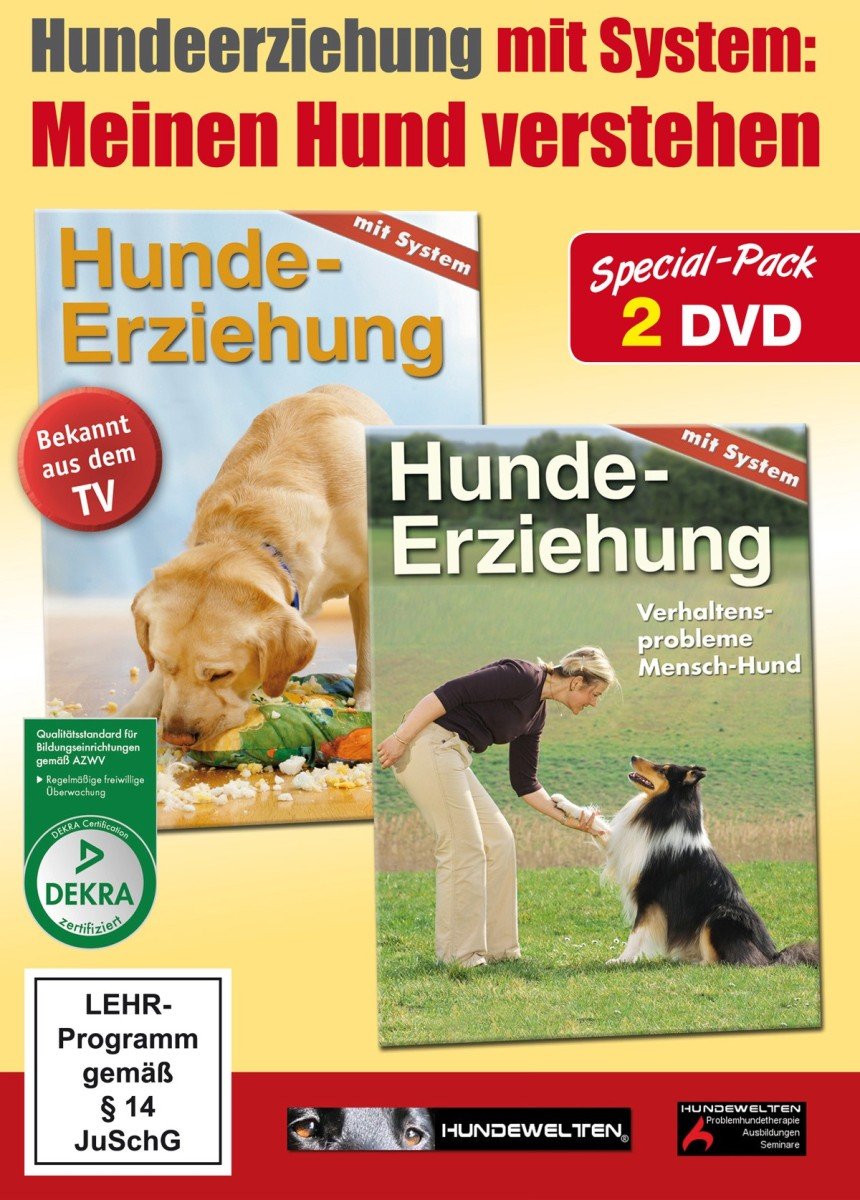 Hundeerziehung mit System - Meinen Hund verstehen