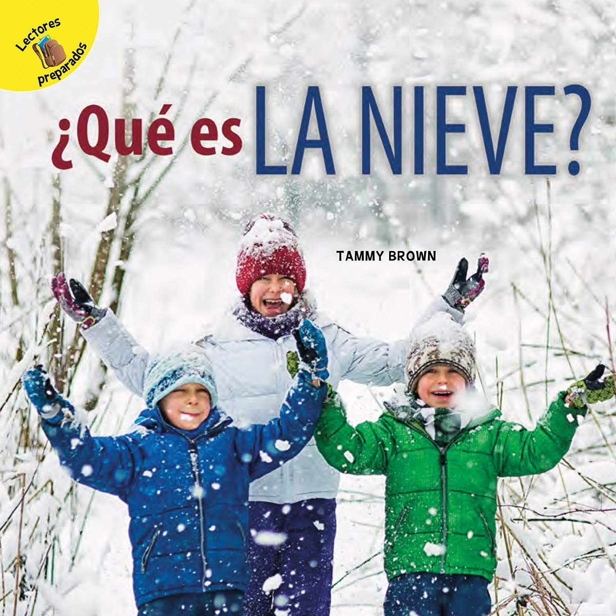 Rourke Educational Media ¿Qué es la nieve? (Yo sé), Spanish Children's Book, Guided Reading Level F (Yo sé (I Know)) (Sp
