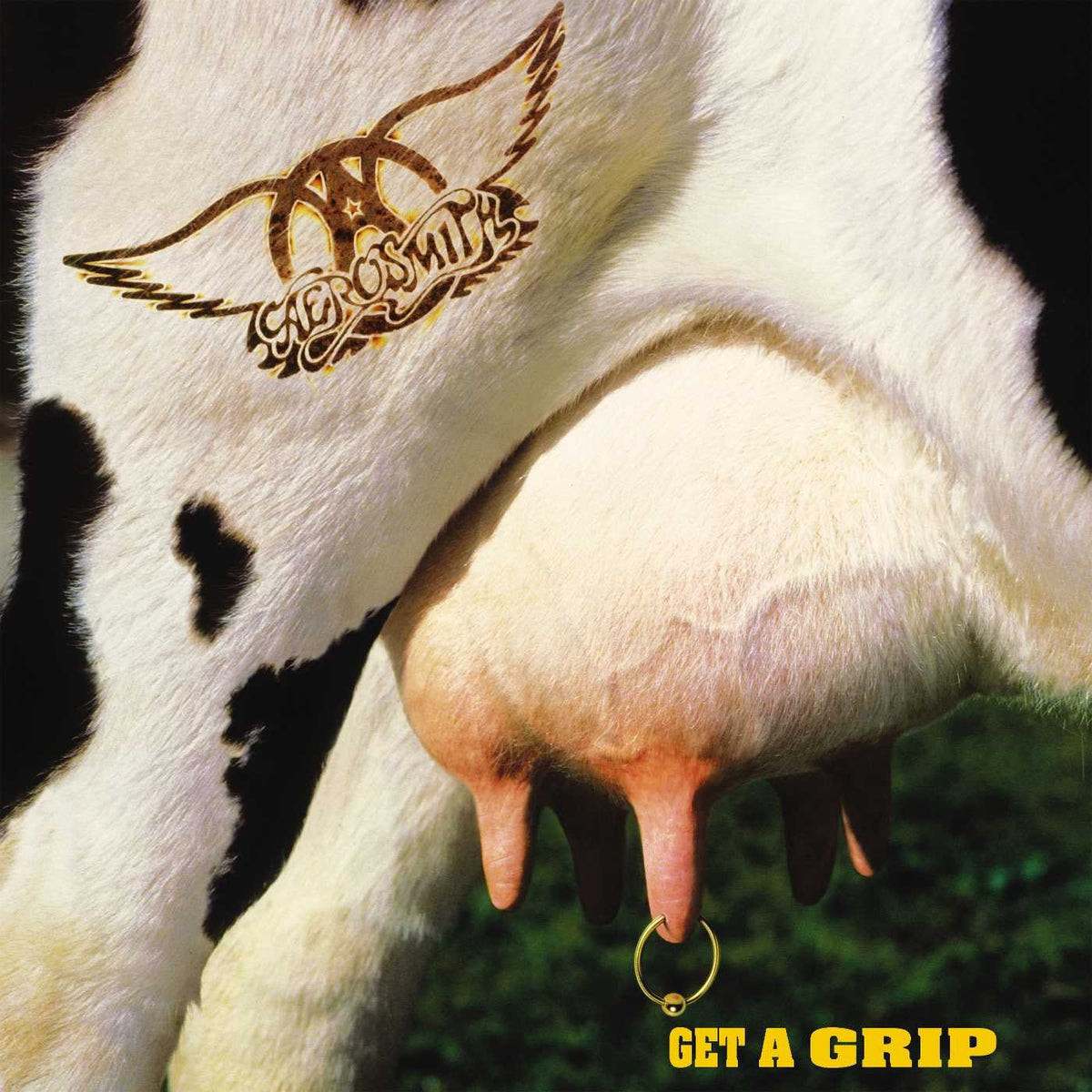 Get A Grip (White Vinyl)