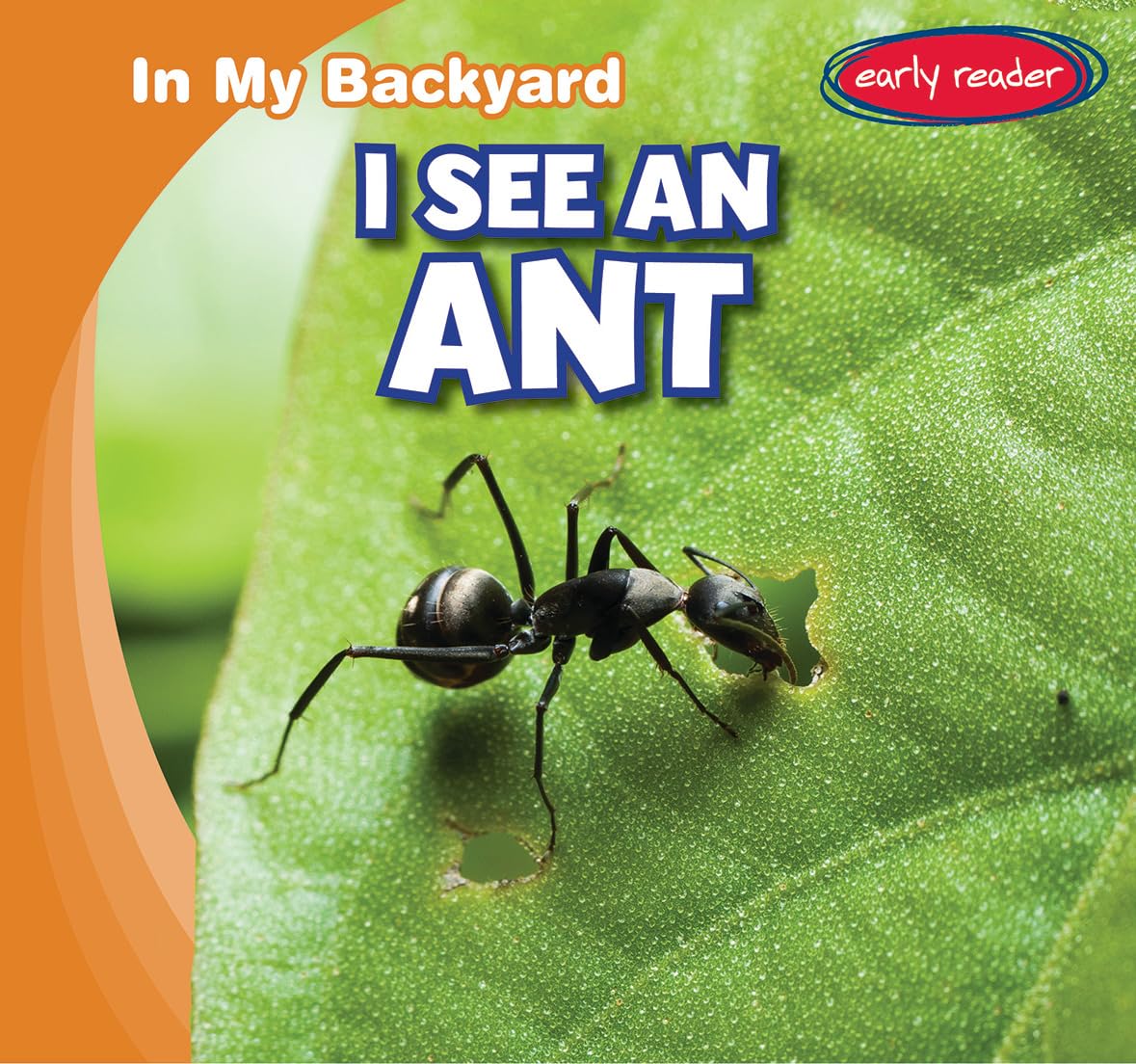 I See an Ant (In My Backyard)