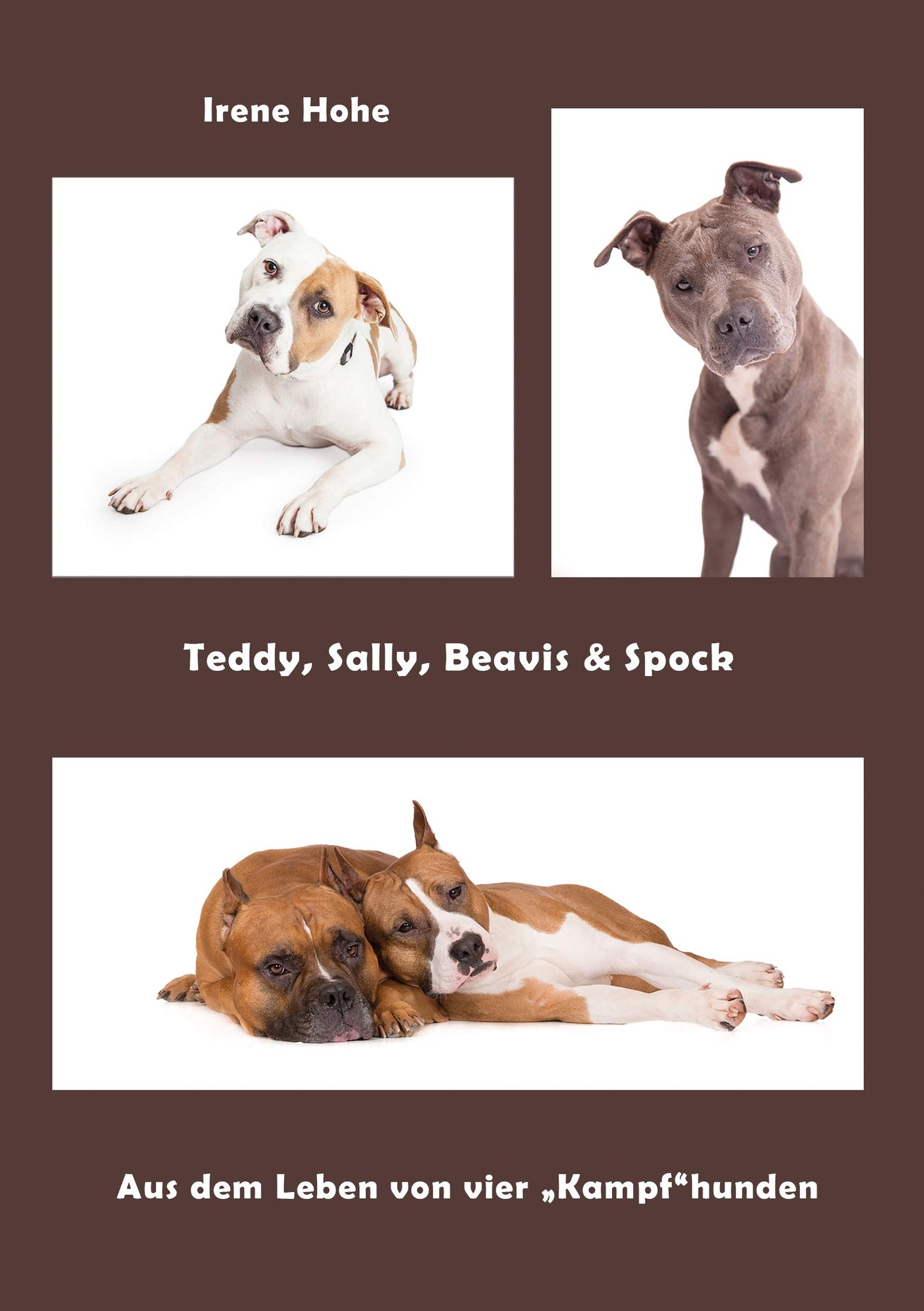 Teddy, Sally, Beavis & Spock: Aus dem Leben von vier "Kampfhunden"